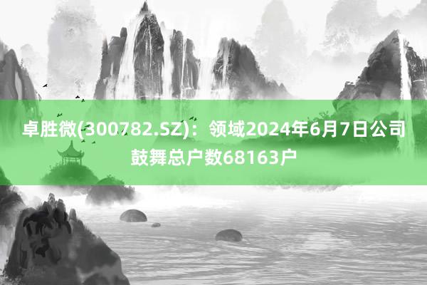 卓胜微(300782.SZ)：领域2024年6月7日公司鼓舞总户数68163户