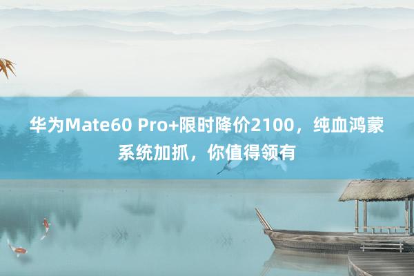 华为Mate60 Pro+限时降价2100，纯血鸿蒙系统加抓，你值得领有