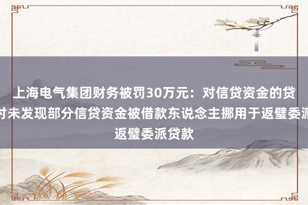 上海电气集团财务被罚30万元：对信贷资金的贷后检讨未发现部分信贷资金被借款东说念主挪用于返璧委派贷款