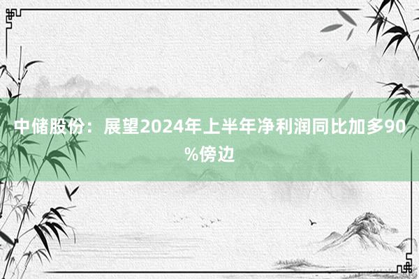 中储股份：展望2024年上半年净利润同比加多90%傍边