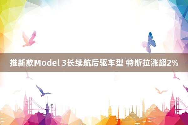 推新款Model 3长续航后驱车型 特斯拉涨超2%