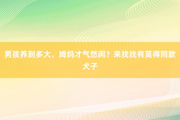 男孩养到多大，姆妈才气悠闲？来找找有莫得同款犬子