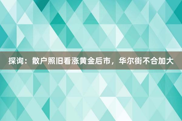 探询：散户照旧看涨黄金后市，华尔街不合加大