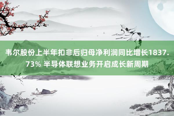 韦尔股份上半年扣非后归母净利润同比增长1837.73% 半导体联想业务开启成长新周期