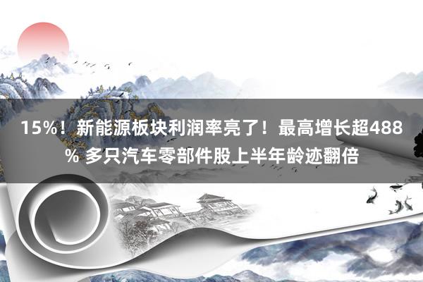 15%！新能源板块利润率亮了！最高增长超488% 多只汽车零部件股上半年龄迹翻倍