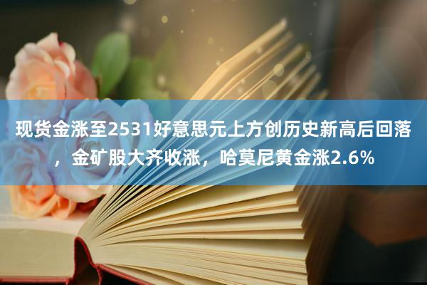 现货金涨至2531好意思元上方创历史新高后回落，金矿股大齐收涨，哈莫尼黄金涨2.6%