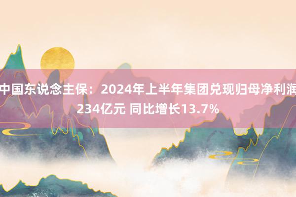 中国东说念主保：2024年上半年集团兑现归母净利润234亿元 同比增长13.7%