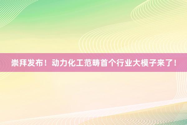 崇拜发布！动力化工范畴首个行业大模子来了！