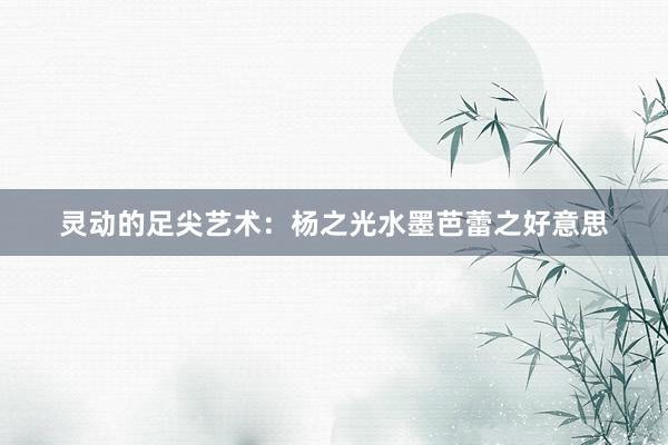 灵动的足尖艺术：杨之光水墨芭蕾之好意思