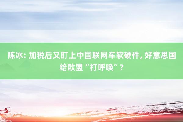 陈冰: 加税后又盯上中国联网车软硬件, 好意思国给欧盟“打呼唤”?