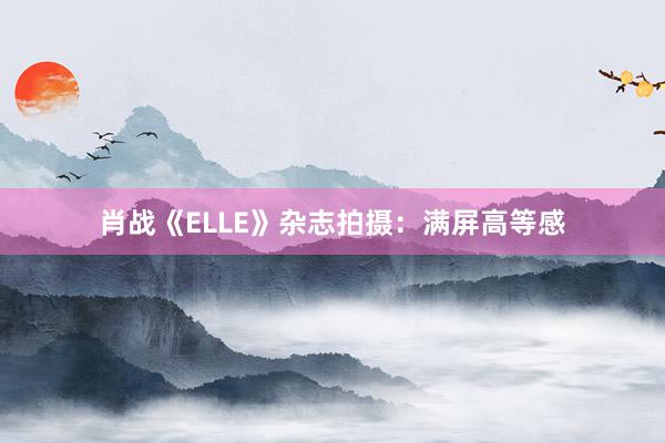 肖战《ELLE》杂志拍摄：满屏高等感