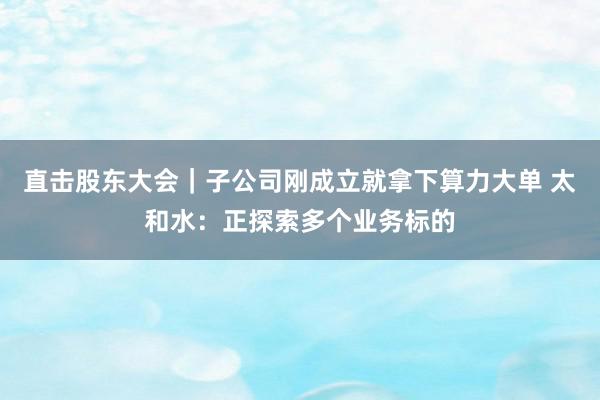 直击股东大会｜子公司刚成立就拿下算力大单 太和水：正探索多个业务标的