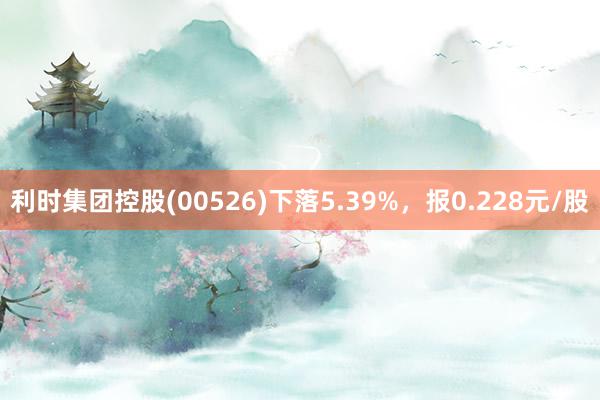 利时集团控股(00526)下落5.39%，报0.228元/股