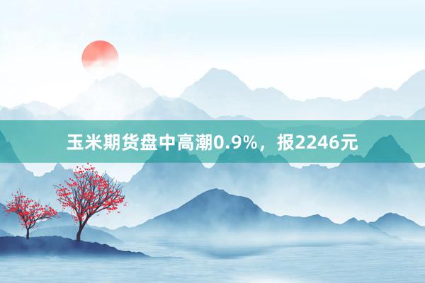 玉米期货盘中高潮0.9%，报2246元