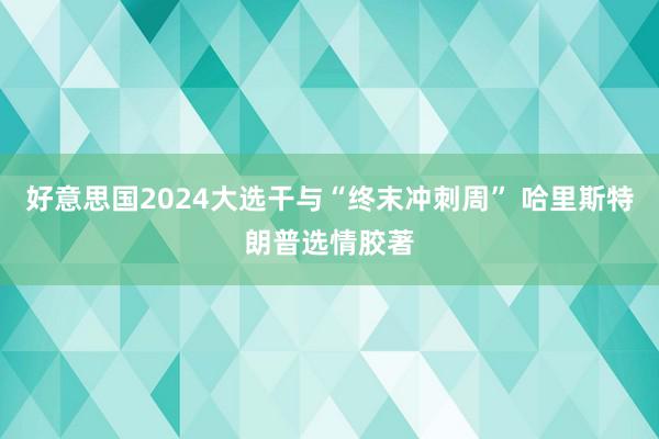 好意思国2024大选干与“终末冲刺周” 哈里斯特朗普选情胶著