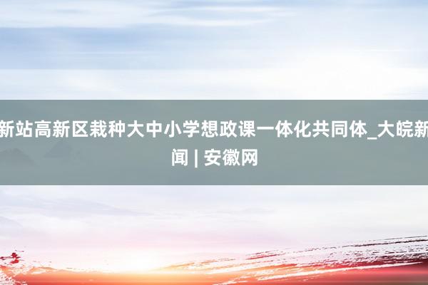 新站高新区栽种大中小学想政课一体化共同体_大皖新闻 | 安徽网